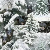 3 WISHES - Under the Moonlight by Abraham Hunter - Hibernation Time - Multi