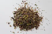 Bio-D