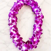 Double Purple Orchid Lei