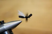 Foam flying ant