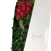 Classic Boxed Roses