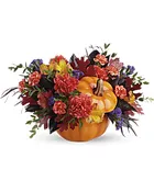 Autumn Colors bqt