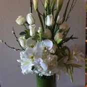 Whispering white