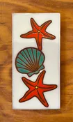 3x6 Seashells