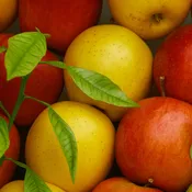 2-in-1 Apple Cocktail Tree