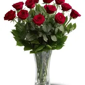 A Dozen Premium Red Roses TF31-1