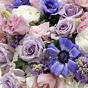 Designer’s Choice — Pink and Purple