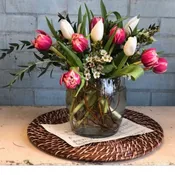 Dancing Tulips