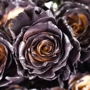 Mocha Espresso Tinted Roses
