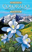 Colorado Columbine Seeds Postcard