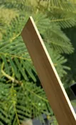Actionboo Core Laminations (Parallel) PAIR