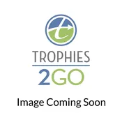 Spiraling Plush Hockey Award