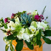 Basket of Beauties