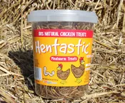 Hentastic Mealworm Treats