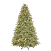 7.5′ Kensington Fir