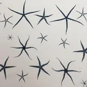 Starfish