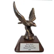 American Eagle Award