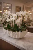 The Orchid Atelier — Joseph Richard Florals
