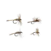 Adams Assortment
