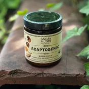 7 Medicinal Mushrooms + Cacao Adaptogenic 4 oz Powder