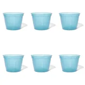10 inch Slotted Orchid Pot (6 Pack)