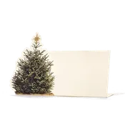 Christmas Tree Place Card