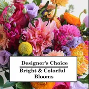 Designers Choice $75
