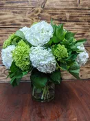 Hydrangea Highlight