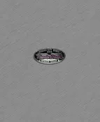 2019 Spring Thunder Beach Ladies Wings Pin