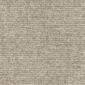 Balance Family Friendly Carpet