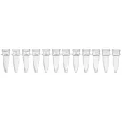 0.2mL 12-Strip Tubes, No Caps, Natural