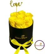 7 PRESERVED YELLOW ROSES IN A ROUND BOX