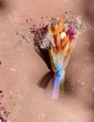 Sorbet Summer Dried Arrangement — Nourish Botanica