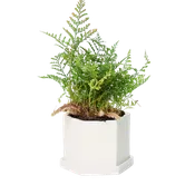 3.5" Handmade Ceramic Planter - White