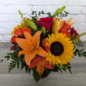 Autumn in Bloom