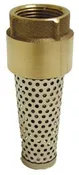 AG FVNL200B Valve Foot Brass 2"