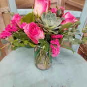 Pink Fusion