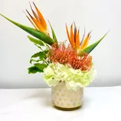 Peek a Boo Birds by Hudson Flower Shop