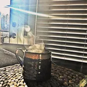 A Morning Cup of Coffee