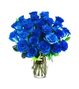 BLU EXPRESSION