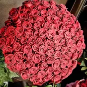 100 LONG STEM ROSES