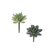 Succulent Pick