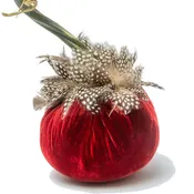 5" Cherry w/Guinea Feather Collar