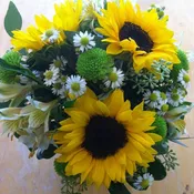 Sunflower Sunshine