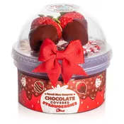 Chocolate Covered Strawberries Glossy Signature Dome™Slime
