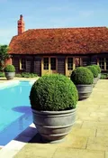 Banded Cup Planter, Lead