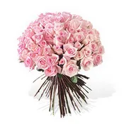 100 Pink  Long roses 70 cm Vase not included