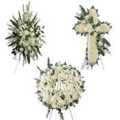 3 PC CUSTOM RIP PKG WAS $600-NOW $450