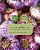Garlic Growing 101 October 10 At 10:30Am