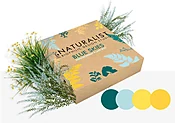 Blue Skies Artificial Plant Kit